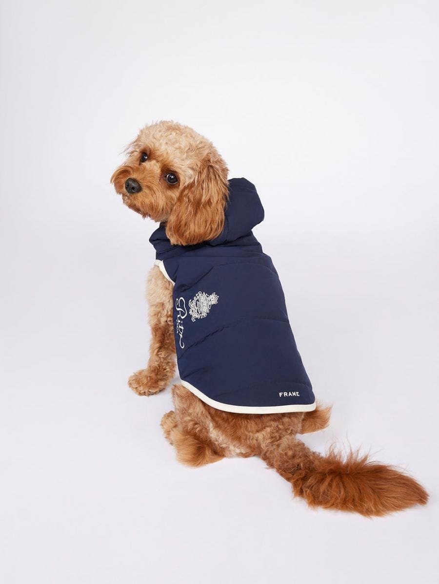 Ritz Dog Puffer -- Navy – FRAME