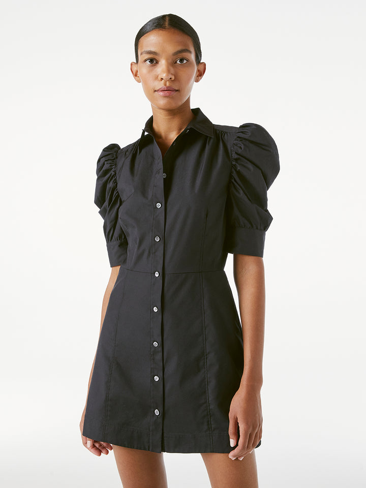 frame le v mini dress